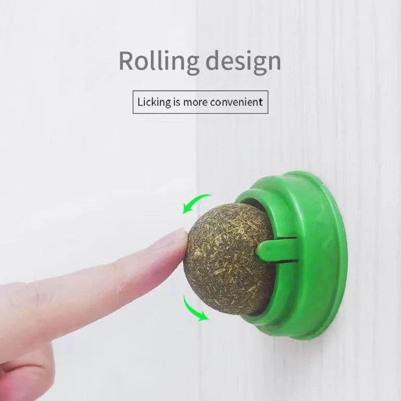 Wall-mounted cat balls – fun for cats without the mess
