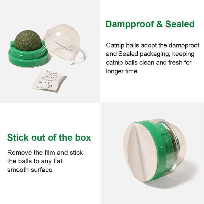 Wall-mounted cat balls – fun for cats without the mess