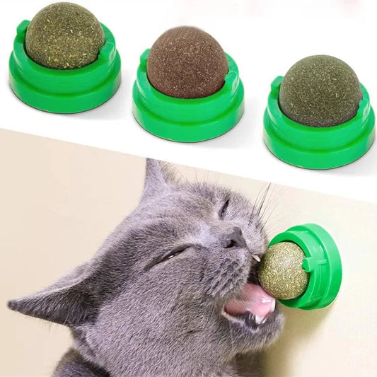 Wall-mounted cat balls – fun for cats without the mess