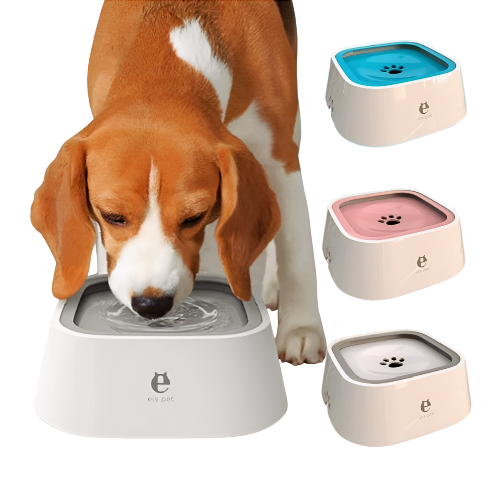 Anti-spill dog bowl – dry floor, happy pet