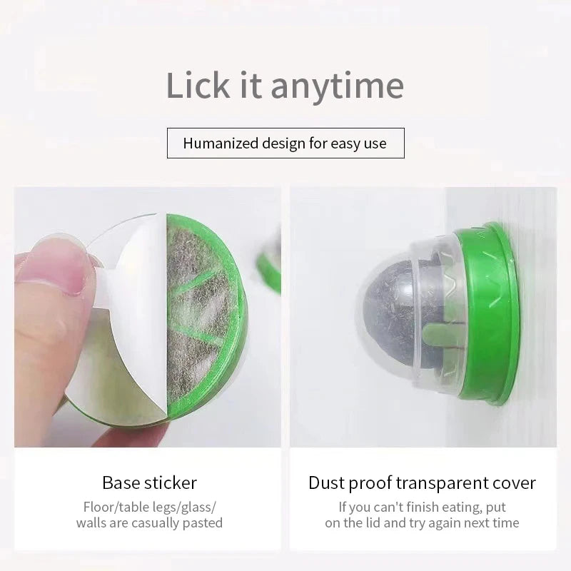 Wall-mounted cat balls – fun for cats without the mess