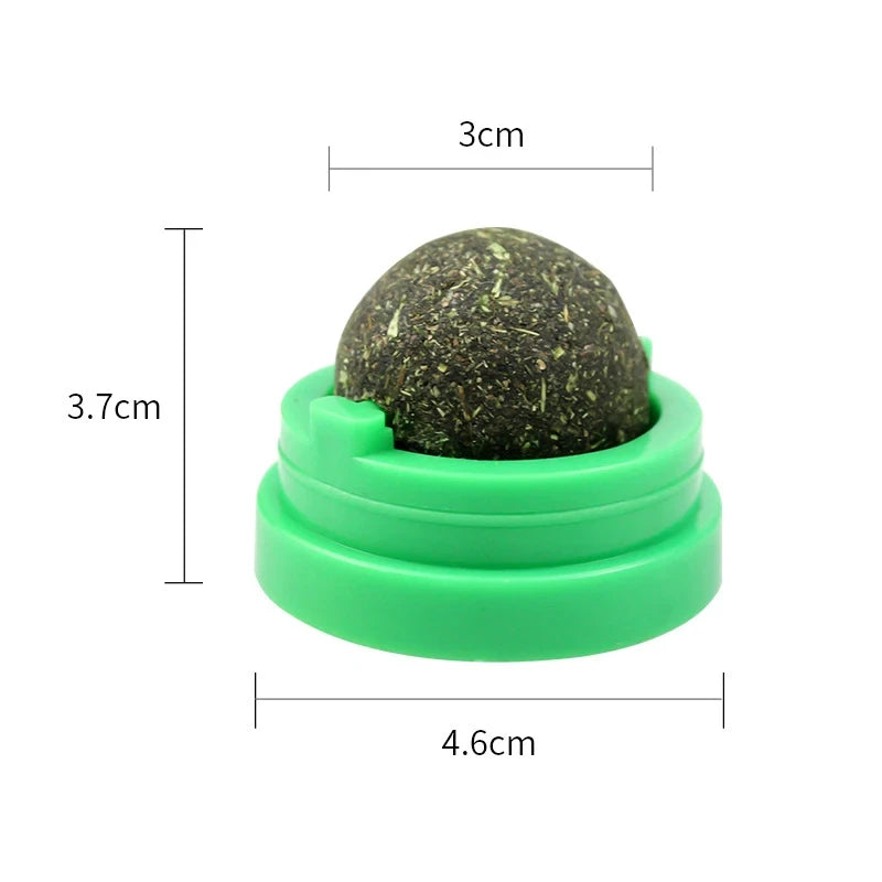 Wall-mounted cat balls – fun for cats without the mess