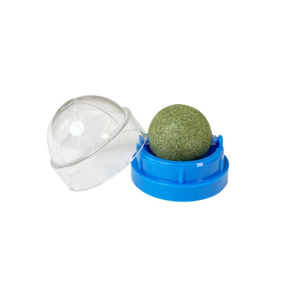 Wall-mounted cat balls – fun for cats without the mess